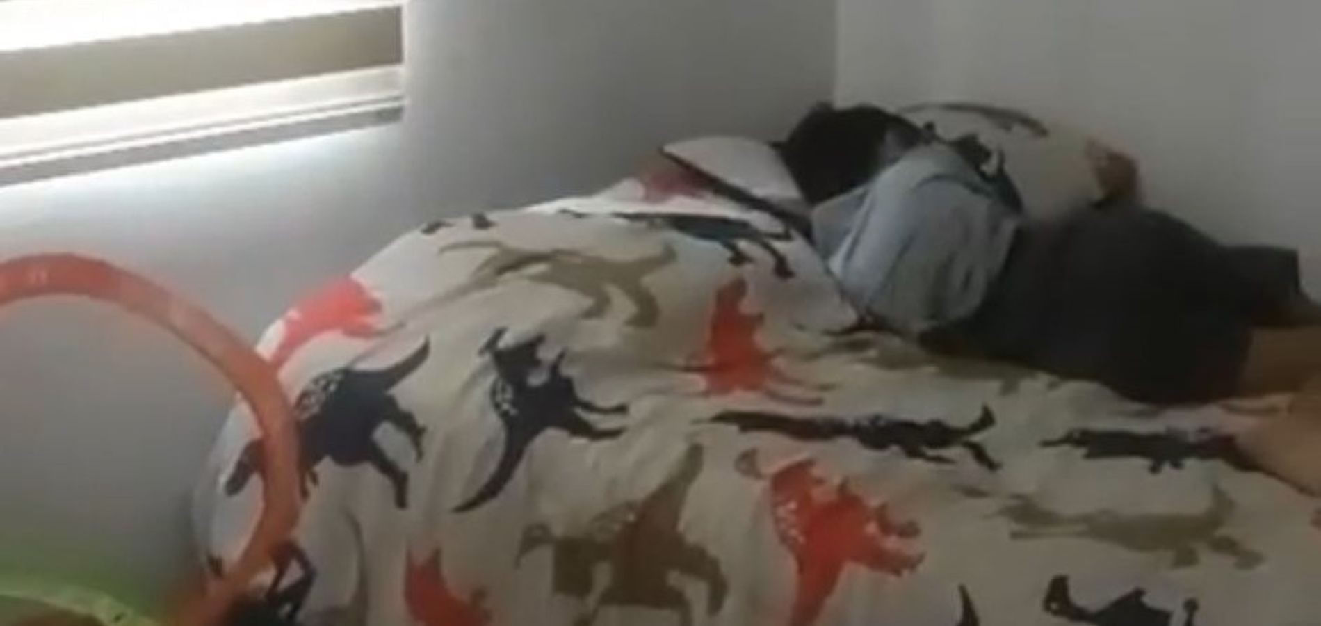 Apartamento en Venta en Medellín, Belén La Palma-3