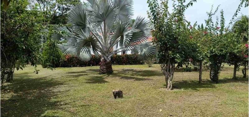 Casa en Venta en Sopetrán, Sopetrán-25