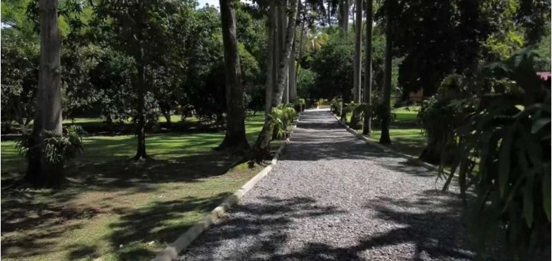 Casa en Venta en Santa Fé De Antioquia, Santa Fe Antioquia-12