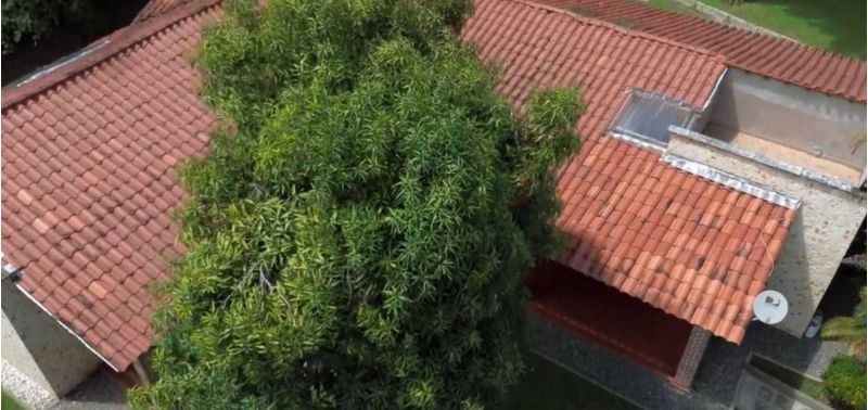 Casa en Venta en Santa Fé De Antioquia, Santa Fe Antioquia-13