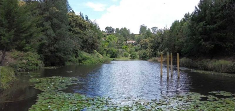 Casa en Venta en Rionegro, Rionegro-5