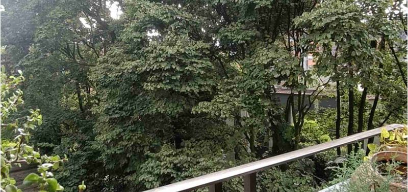Apartamento en Venta en Envigado, La Abadía-22