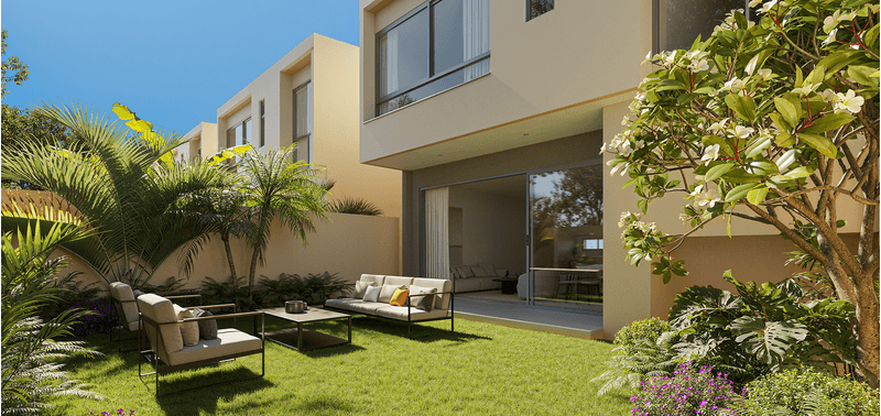 Maranta Contree proyecto de vivienda-1