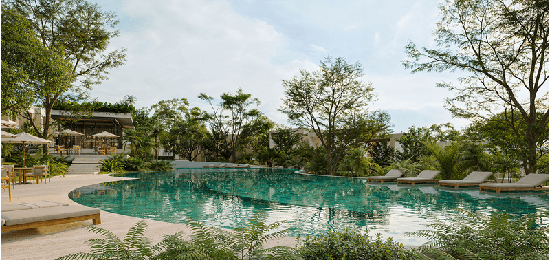 Maranta Contree proyecto de vivienda-3