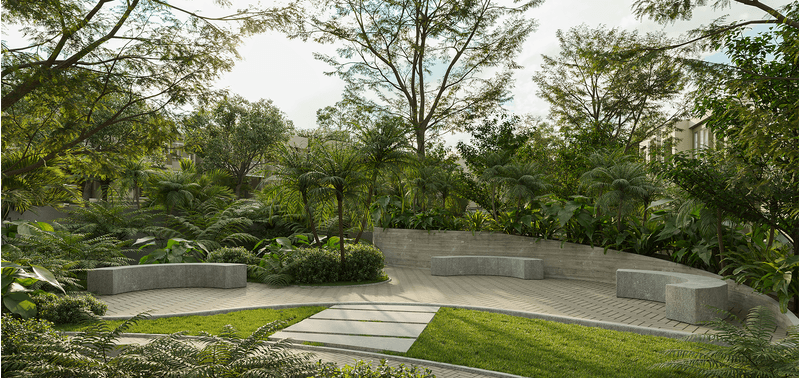 Maranta Contree proyecto de vivienda-4