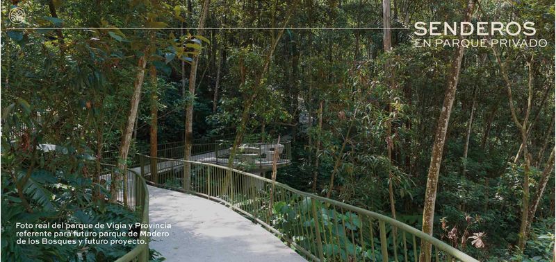 Madero de los Bosques proyecto de vivienda-7