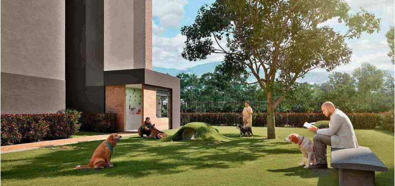Verdi proyecto de vivienda-10