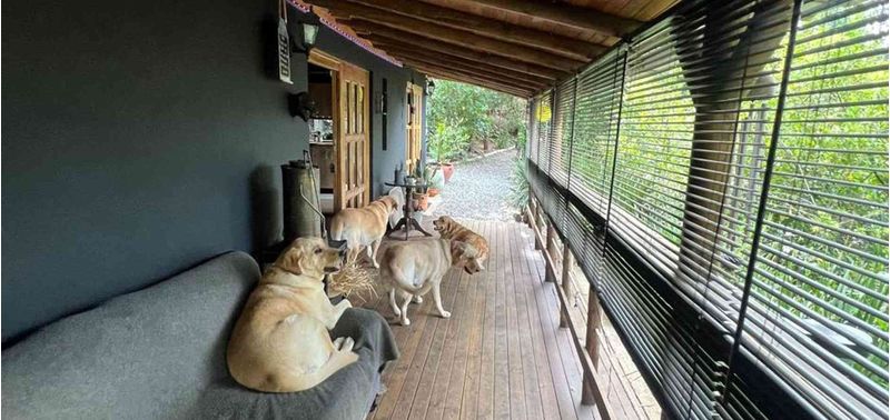 Casa en Venta en Guarne, Toldas-17