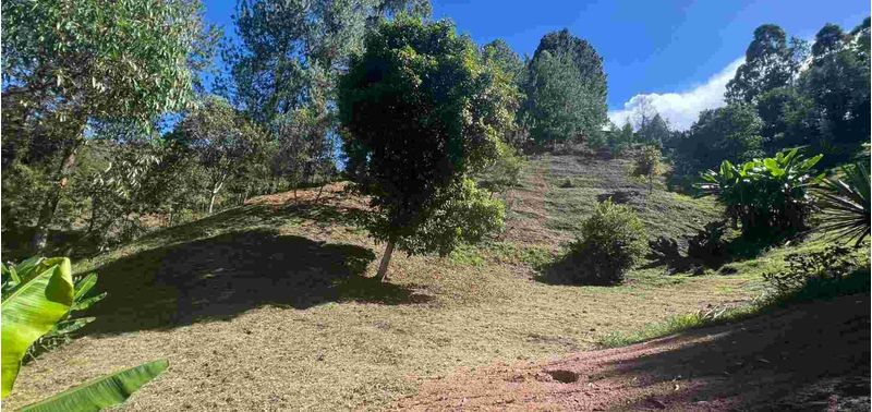 Casa en Venta en Guarne, Toldas-22