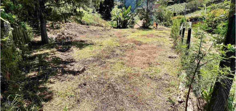 Casa en Venta en Guarne, Toldas-43