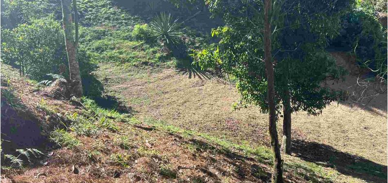 Casa en Venta en Guarne, Toldas-44