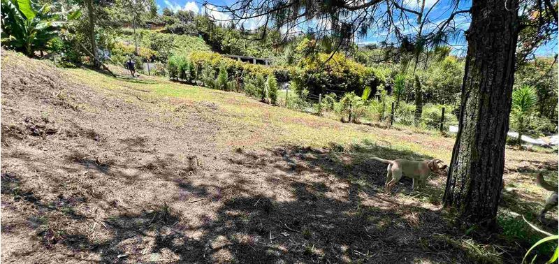 Casa en Venta en Guarne, Toldas-46