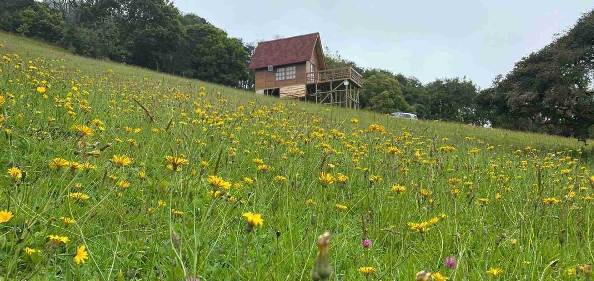 Casa en Venta en La Calera, La Calera