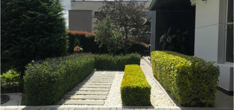 Casa en Venta en Pitalito, Pitalito-18
