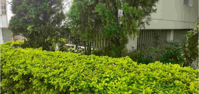 Local en Venta en Medellín, Calasanz-10