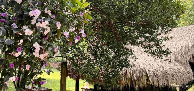 Casa en Venta en Sopetrán, Sopetrán-27