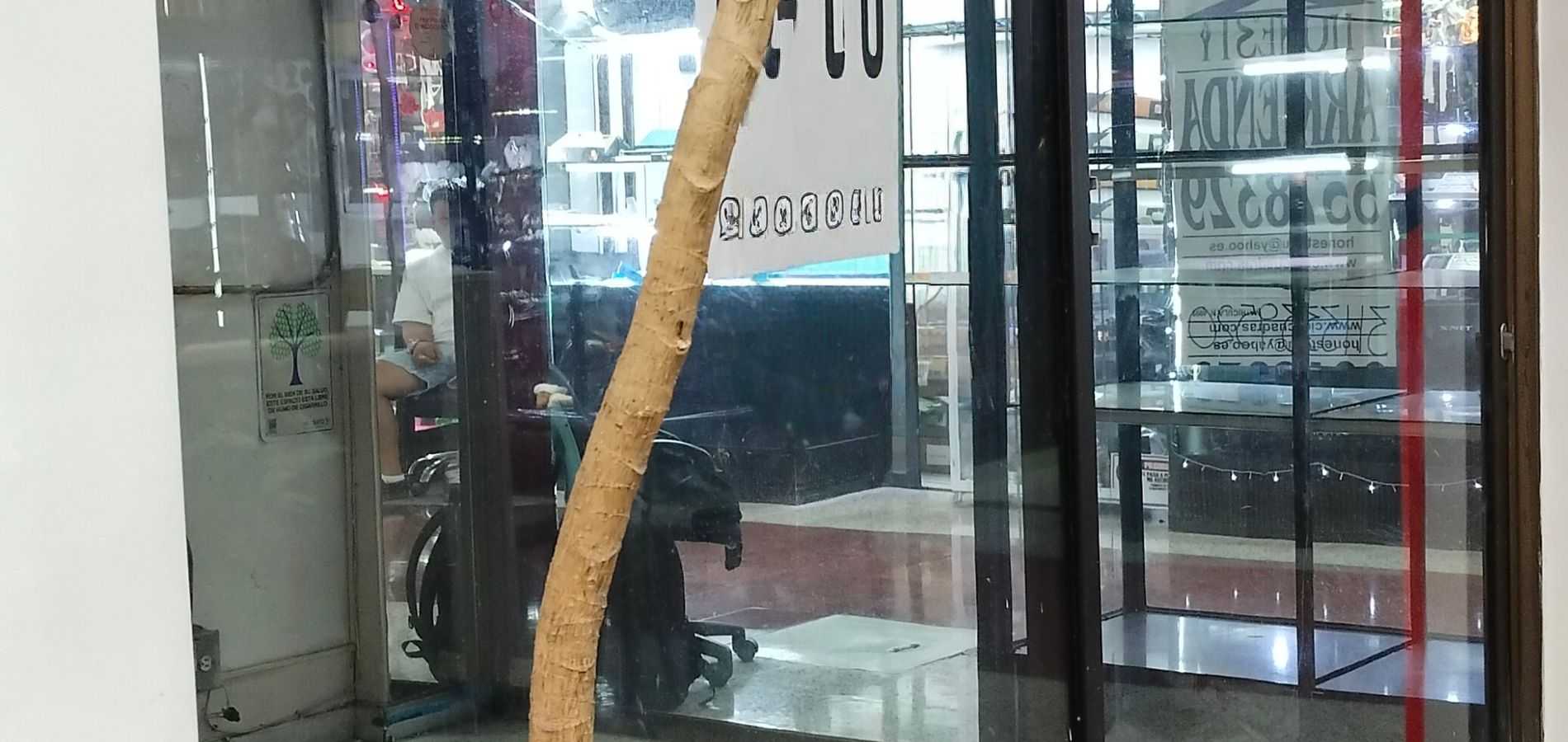 Local en Venta en Medellín, Centro-3