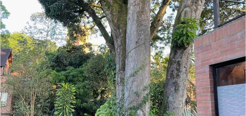 Casa en Venta en Envigado, Loma de las brujas-28