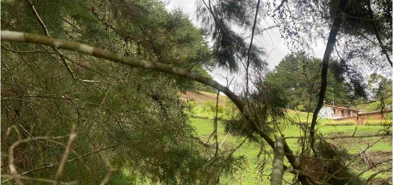 Lote en Venta en La Ceja, La Ceja-2