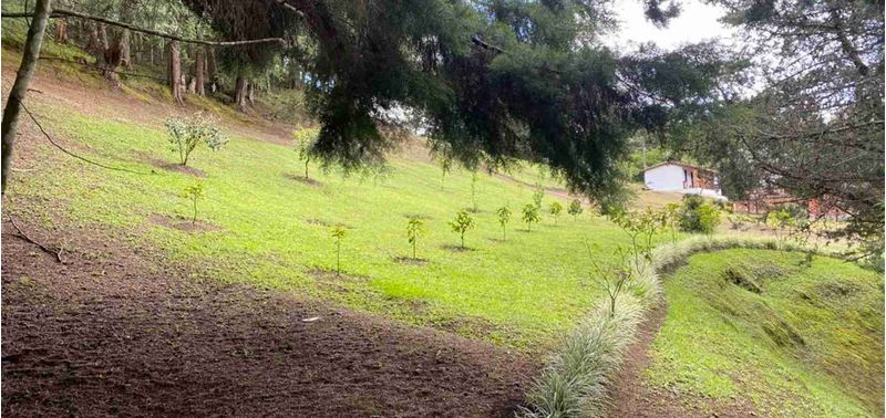 Lote en Venta en La Ceja, La Ceja-4