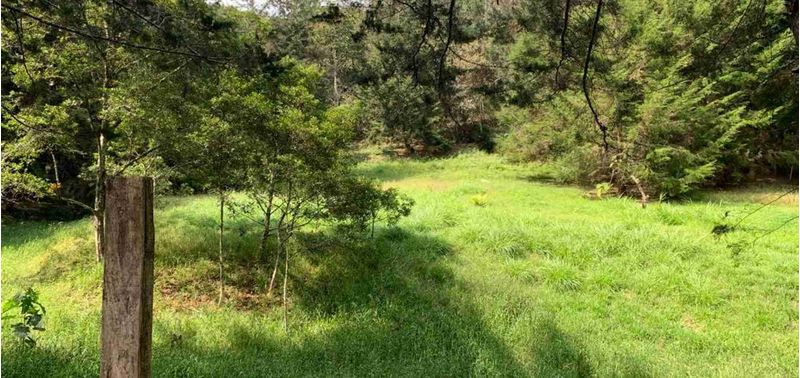 Lote en Venta en La Ceja, La Ceja-6
