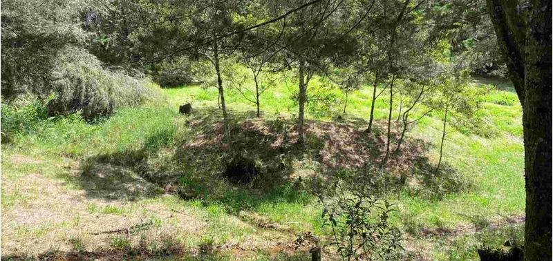 Lote en Venta en La Ceja, La Ceja-12