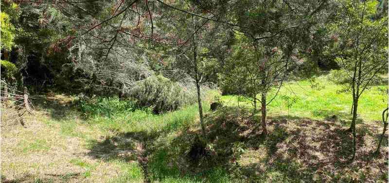 Lote en Venta en La Ceja, La Ceja-14
