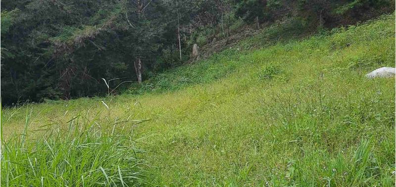 Lote en Venta en La Ceja, La Ceja-18
