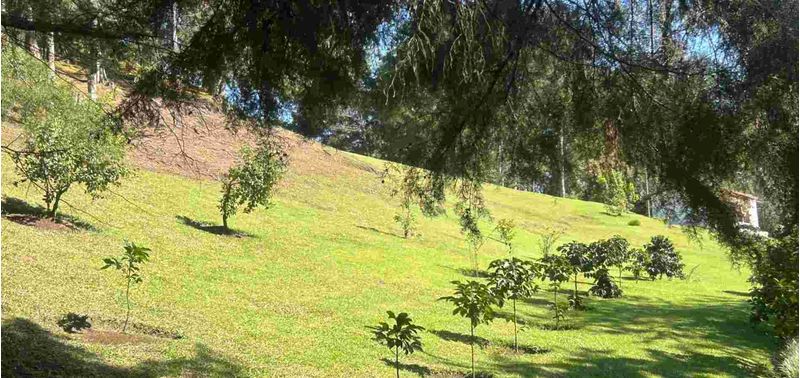 Lote en Venta en La Ceja, La Ceja-19