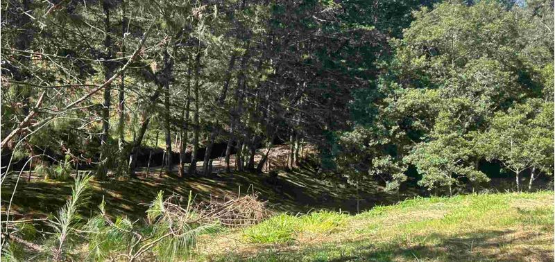 Lote en Venta en La Ceja, La Ceja-20