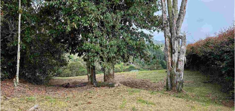 Lote en Venta en Medellín, Vereda Perico Santa Elena-1