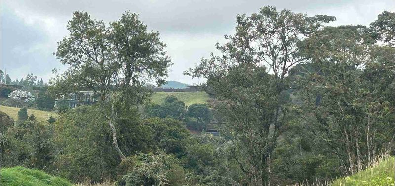 Lote en Venta en Medellín, Vereda Perico Santa Elena-8