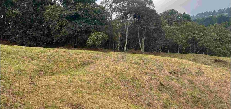 Lote en Venta en Medellín, Vereda Perico Santa Elena-11