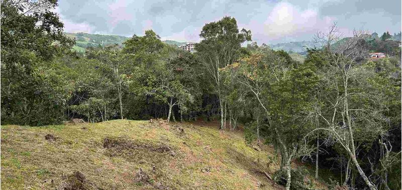 Lote en Venta en Medellín, Vereda Perico Santa Elena-19