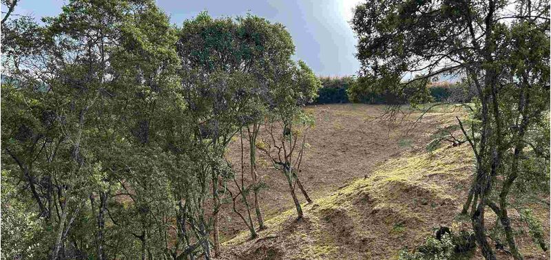 Lote en Venta en Medellín, Vereda Perico Santa Elena-23