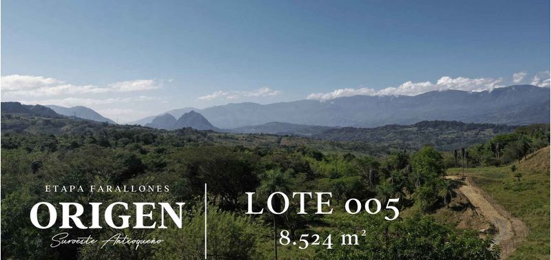 Lote en Venta en La Pintada, La Pintada-7
