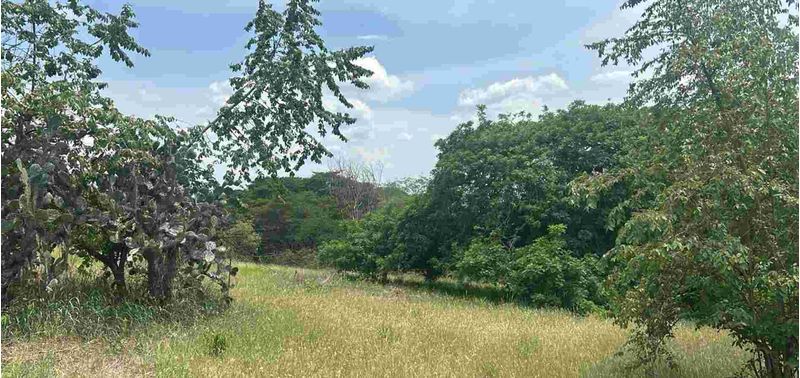 Lote en Venta en Sopetrán, Sopetrán-6