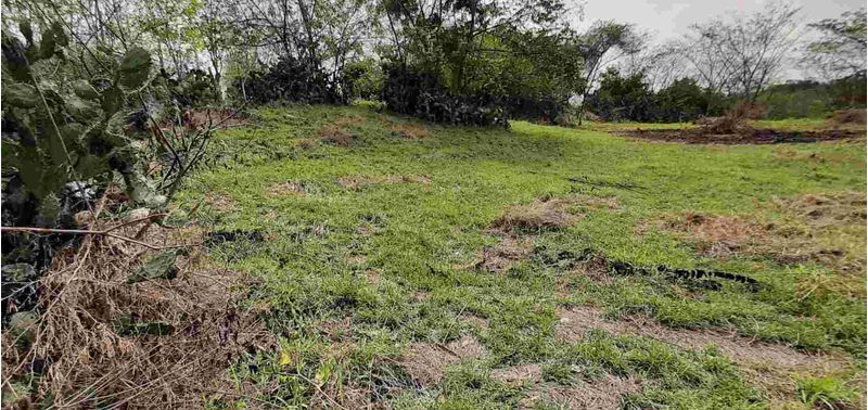 Lote en Venta en Sopetrán, Sopetrán-10