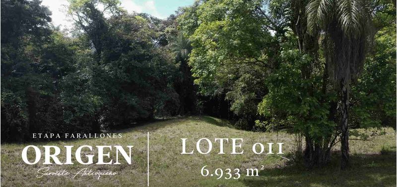 Lote en Venta en La Pintada, La Pintada-5