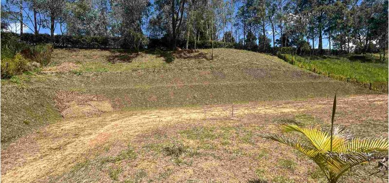 Lote en Venta en San Vicente Ferrer, San Vicente-5