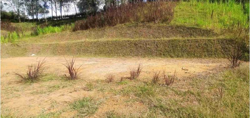Lote en Venta en San Vicente Ferrer, San Vicente-8