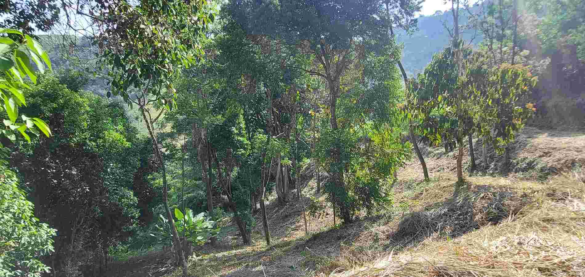 Lote en Venta en Ciudad Bolívar, Ciudad Bolívar-1