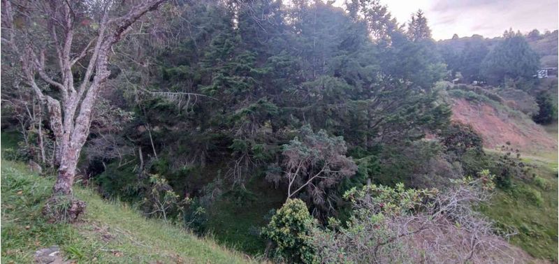 Lote en Venta en Guarne, La Brizuela-10