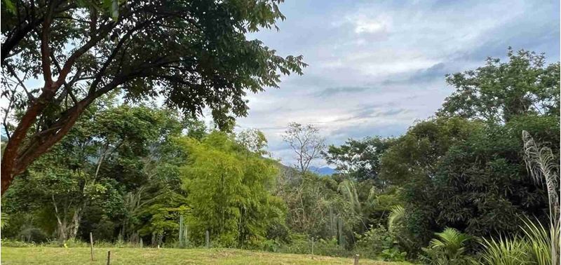 Lote en Venta en Venecia, Venecia-0