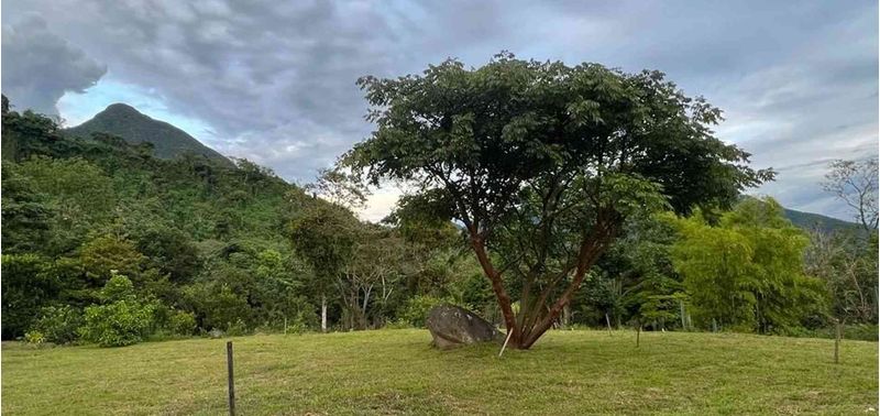 Lote en Venta en Venecia, Venecia-4