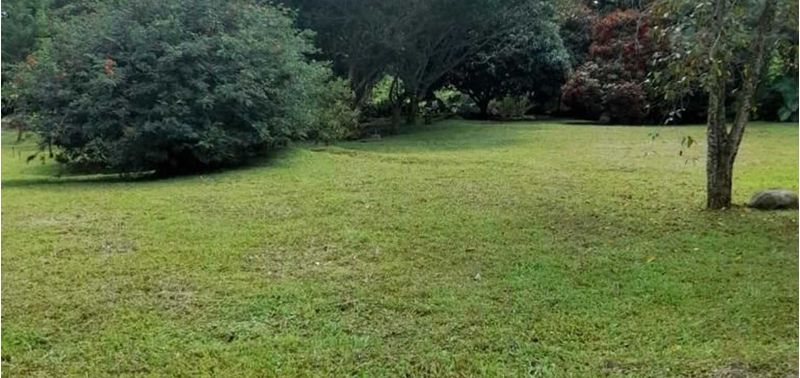 Lote en Venta en Venecia, Venecia-5