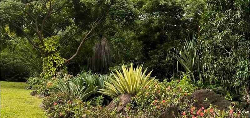 Lote en Venta en Venecia, Venecia-8
