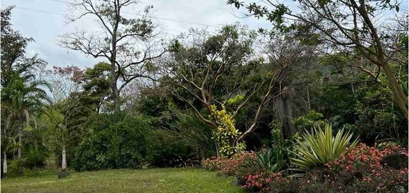 Lote en Venta en Venecia, Venecia-9