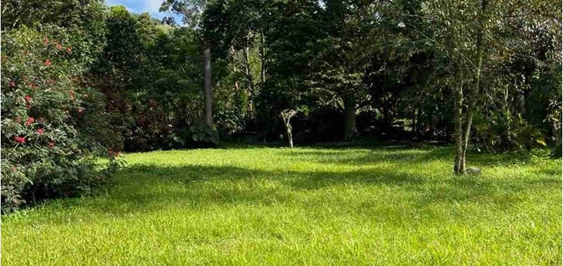 Lote en Venta en Venecia, Venecia-10