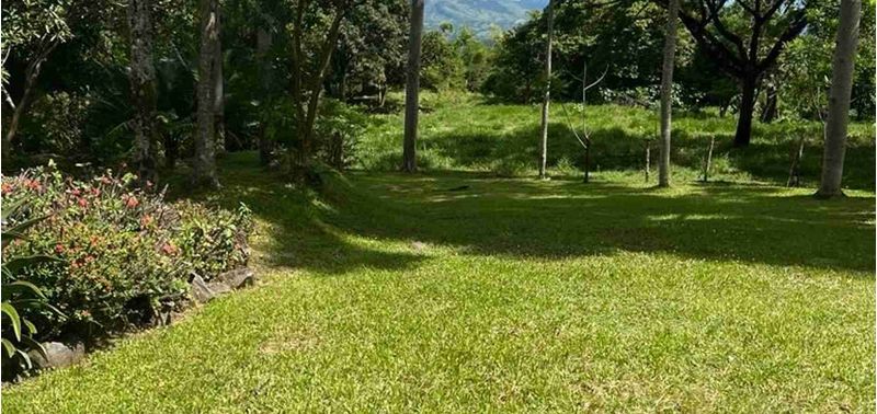 Lote en Venta en Venecia, Venecia-11